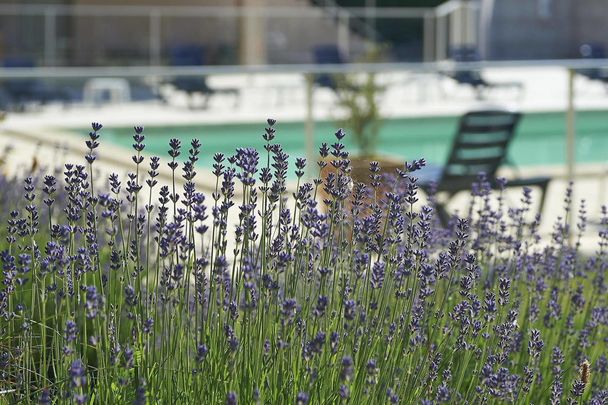 Cit'Hotel Les Alizes Limoges Exterior photo